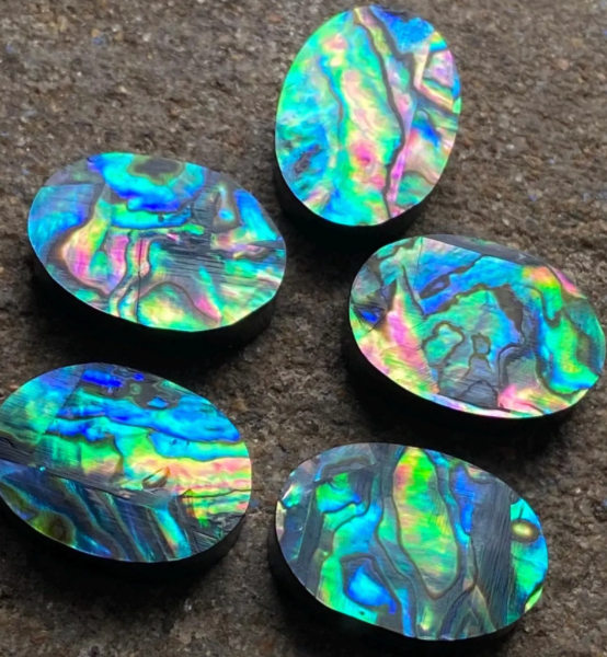 Stone Bolo | Natural Abalone Shell Cabochon