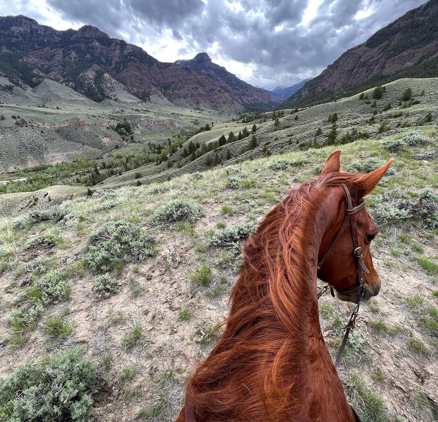 Picture of mountains landscape and a red horse.