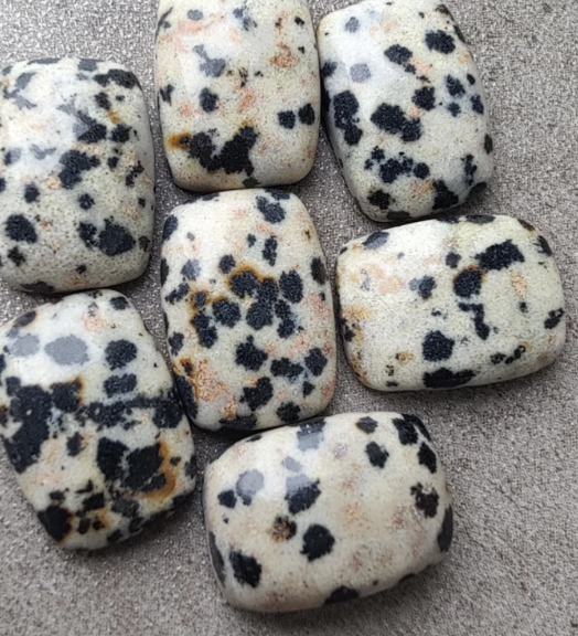 Stone Bolo | Dalmatian Jasper Cabochon